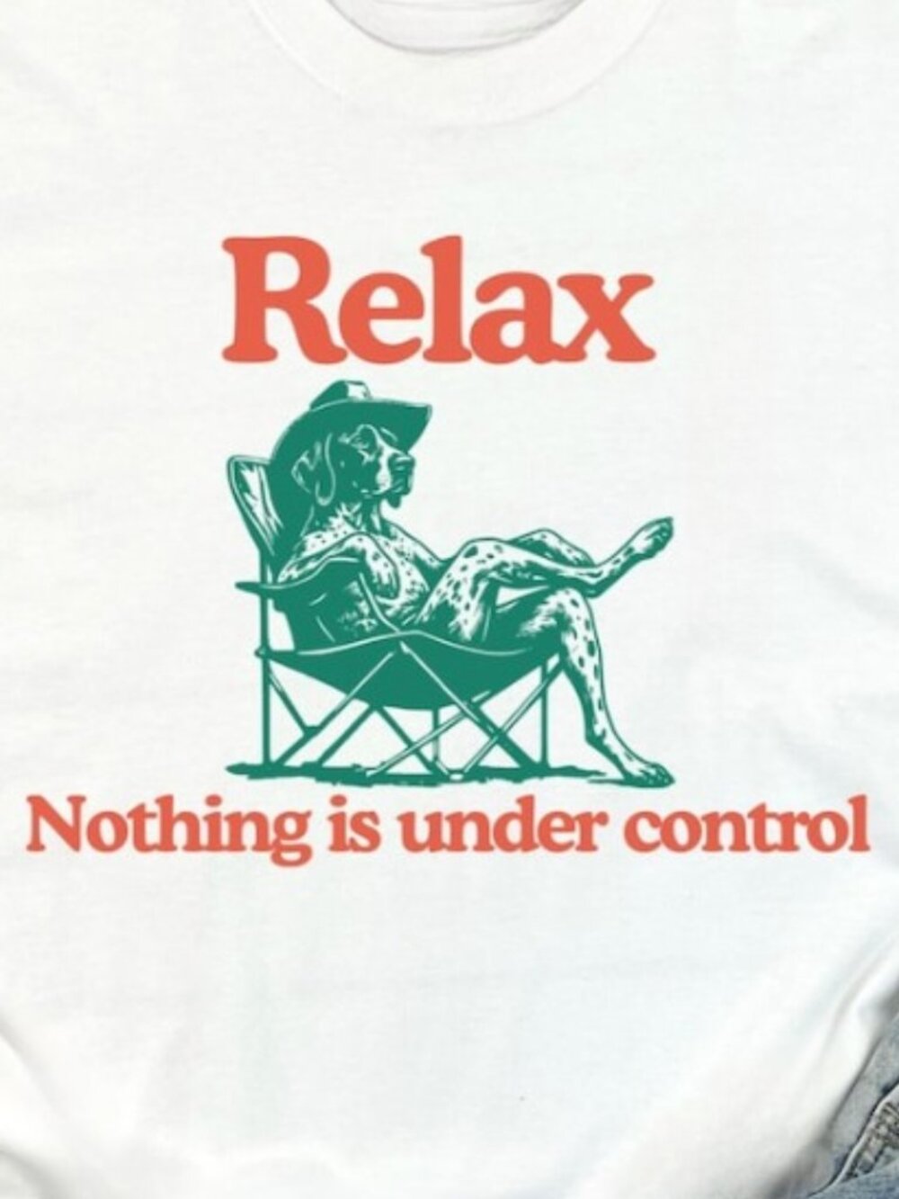 Chill GSP Vintage T-Shirt - Relax Nothing Is Under Control German Pointer Tee - Picture 2 of 4